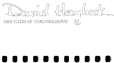 David Haylock Signature Logo