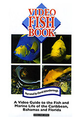 Video Fish Book, Vol. 1