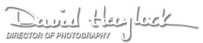 David Haylock Signature Logo