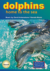 Dolphins Home to the Sea